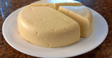 receta de queso vegano