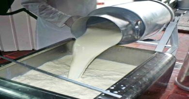 receta de yogurt industrial